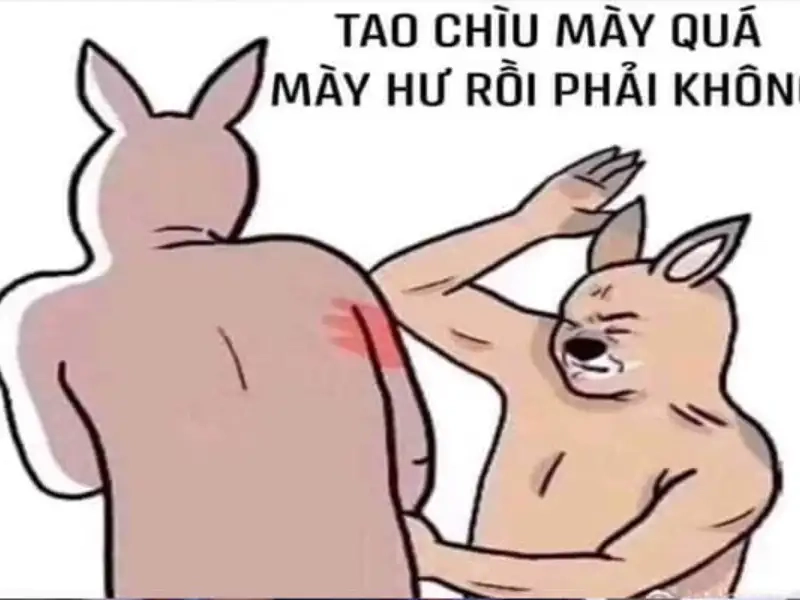 Meme đánh cho tỉnh khiến bạn cảm thấy vui vẻ