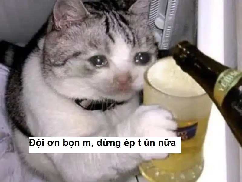 Cảm ơn vì đã lắng nghe meme khiến bạn cảm thấy thoải mái