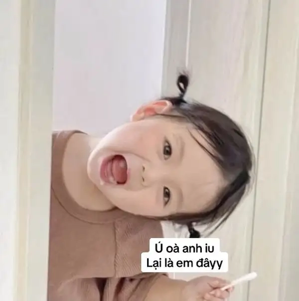 Meme chào cute dễ thương khiến bạn không thể cưỡng lại