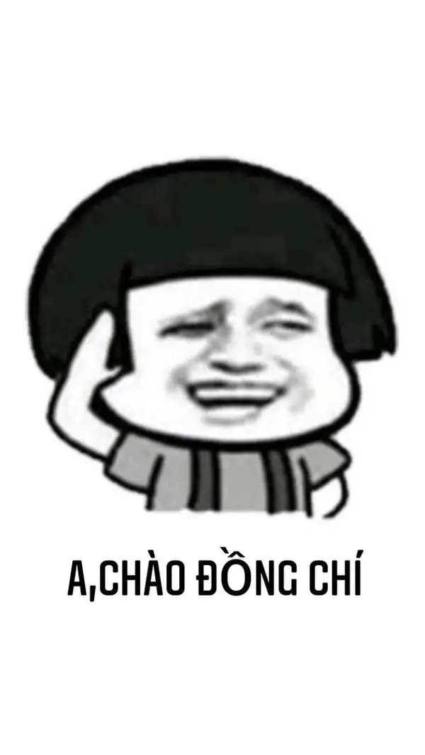 Mèo chào meme mang lại tiếng cười cho mọi người