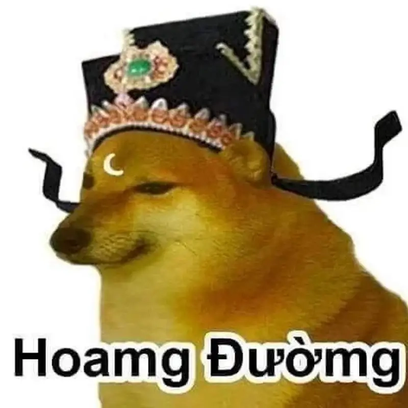 Meme chó shiba cơ bắp mang lại tiếng cười sảng khoái