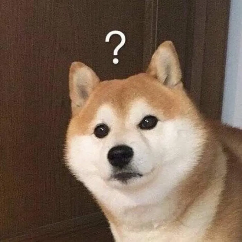 Hình ảnh chó shiba meme mang lại niềm vui cho người xem