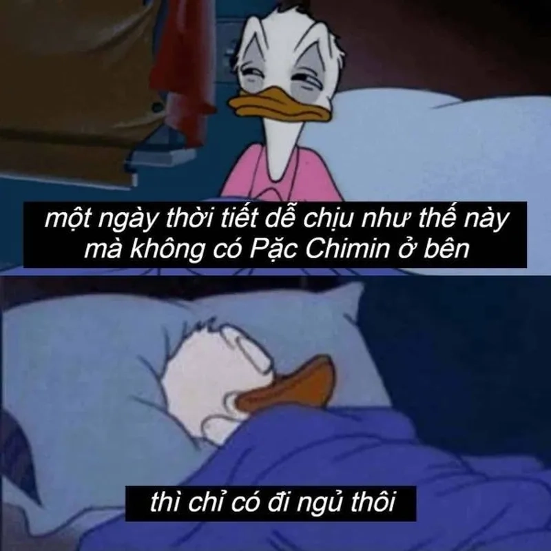 Buồn ngủ meme mang lại tiếng cười cho mọi người