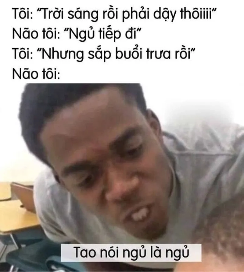 Ảnh meme ngủ ngon dễ thương khiến bạn không thể nhịn cười