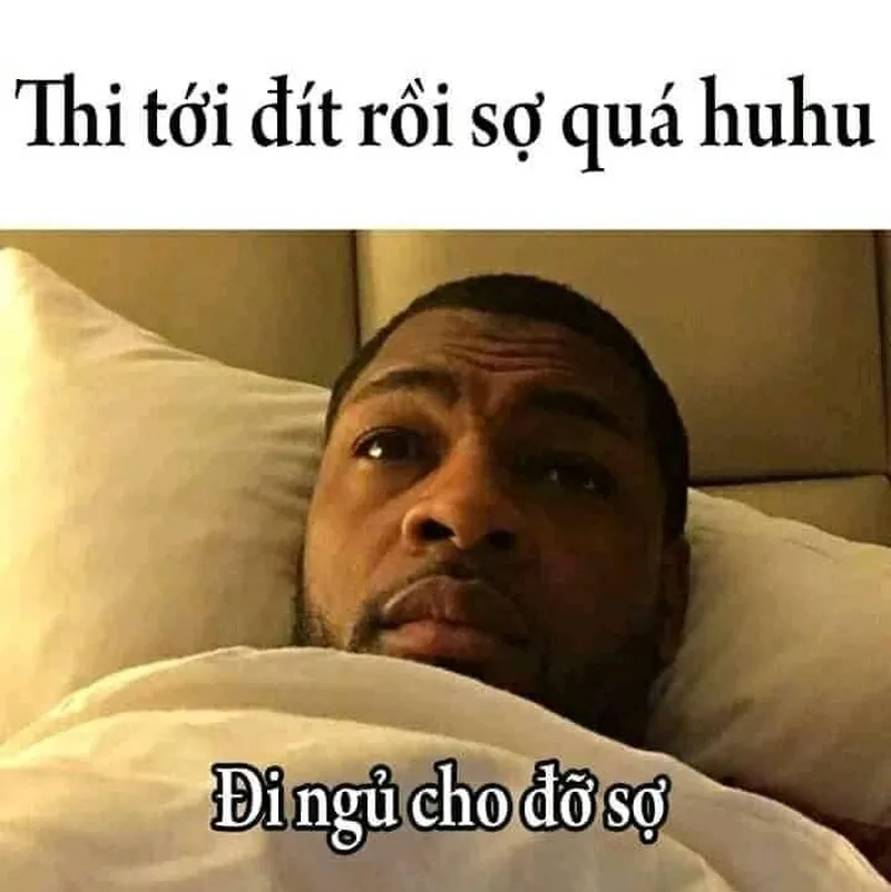 Mèo ngủ meme mang lại tiếng cười cho mọi người