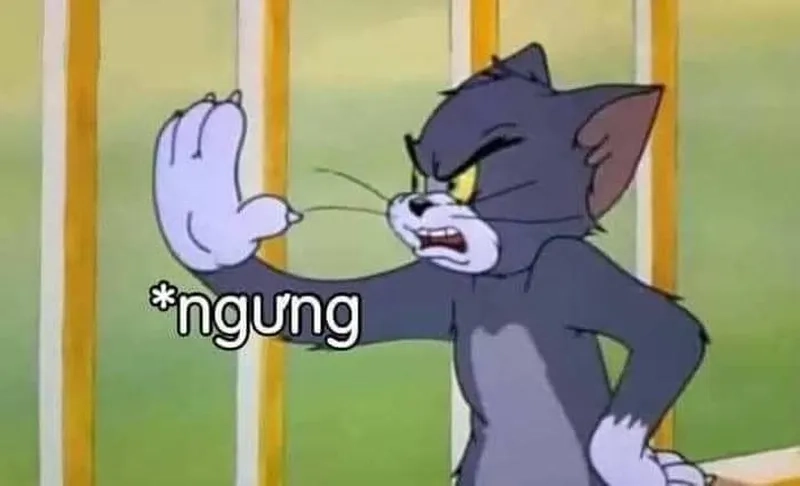 Meme ảnh chế đường tăng chửi dễ thương khiến bạn không thể nhịn cười