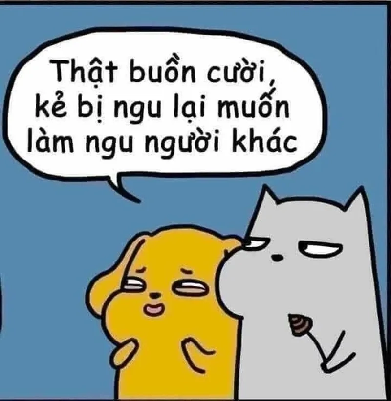 Meme chửi thề thể hiện sự hài hước độc đáo