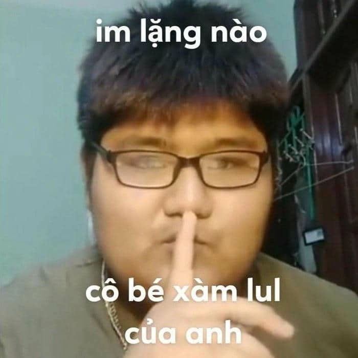 Meme mèo chửi dễ thương khiến bạn không thể cưỡng lại