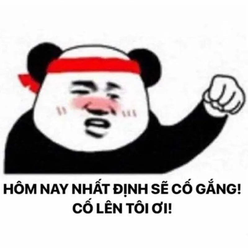 Chúng tôi đã cố gắng hết sức meme thể hiện sự quyết tâm