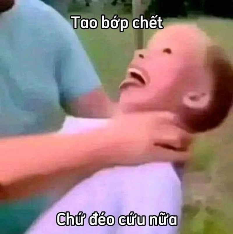 Cứu meme dễ thương làm tan chảy trái tim bạn