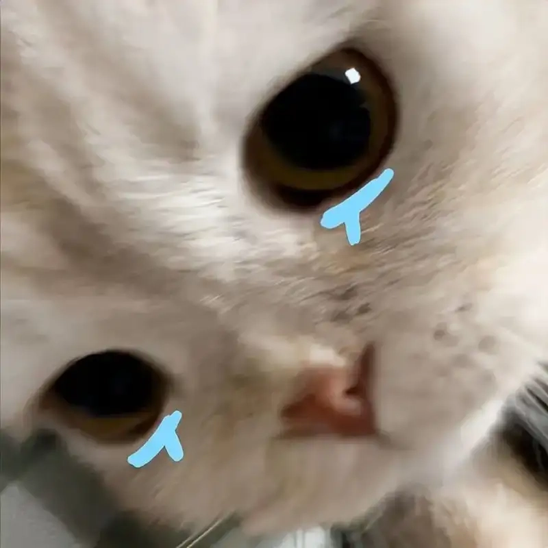 Man crying meme thể hiện sự hài hước độc đáo