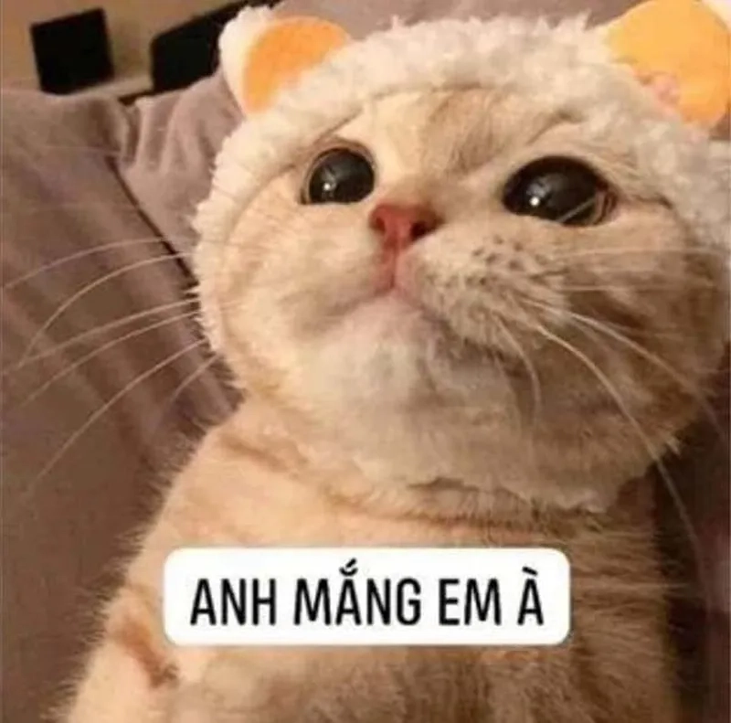 Meme Abu đáng yêu vậy trời mang lại niềm vui cho người xem