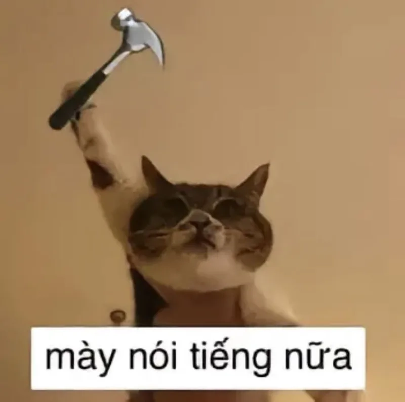 Meme đánh người yêu khiến bạn cảm thấy đồng cảm