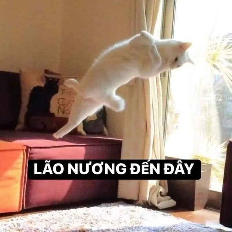 Meme mẹ đánh con thật hài hước và dễ thương