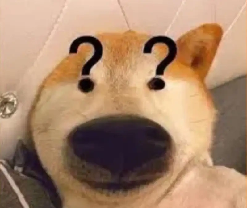 Sad dog meme mang lại cảm giác đồng cảm cho người xem