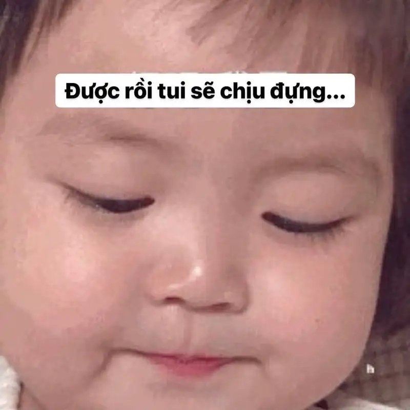 Meme chó khóc thật dễ thương và vui nhộn