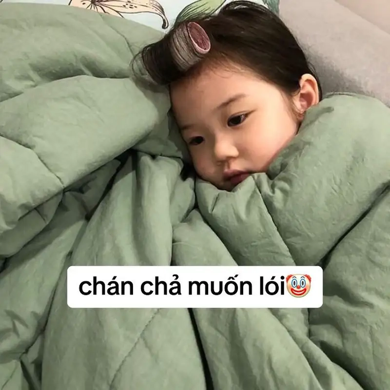 Meme khóc thét mang lại tiếng cười sảng khoái