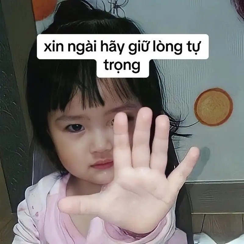 Gấu meme khóc thật đáng yêu và hài hước