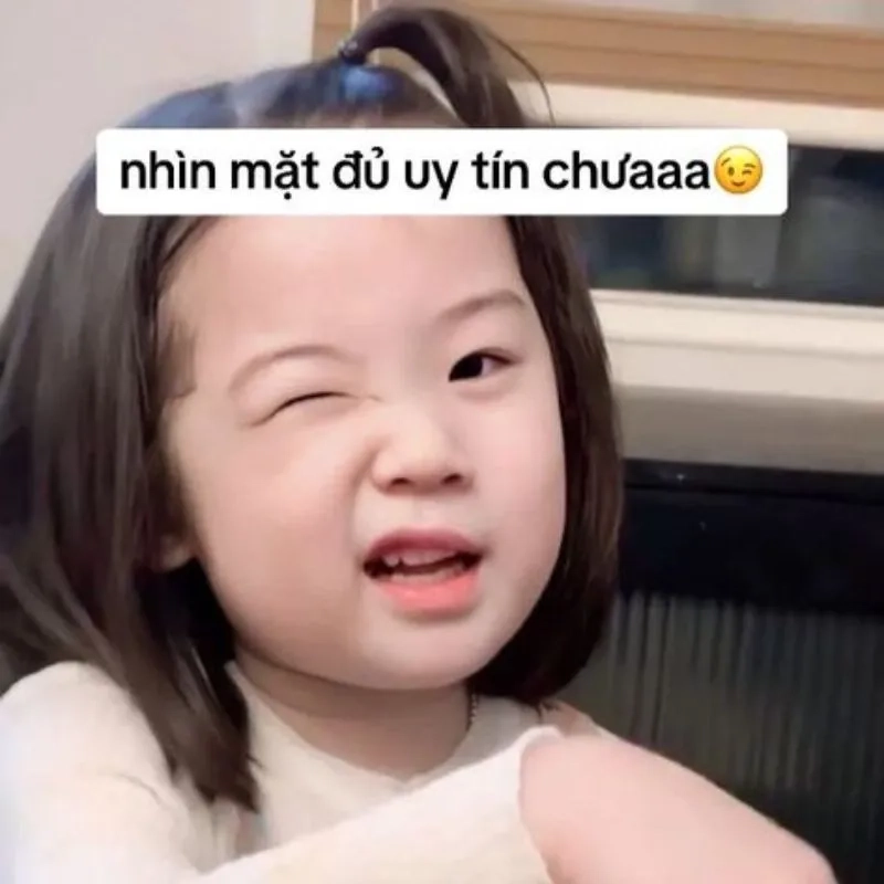 Meme đáng đời dễ thương khiến bạn không thể nhịn cười