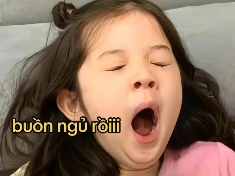 Meme mèo khóc thét khiến bạn cảm thấy đồng cảm