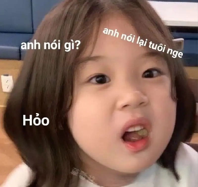 Meme mèo like khóc khiến bạn không thể nhịn cười