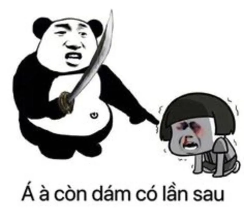 Meme mèo có chữ thật hài hước và thú vị