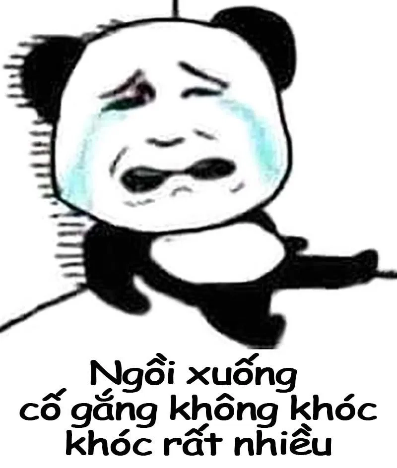 Meme con hải ly mang lại tiếng cười bất ngờ