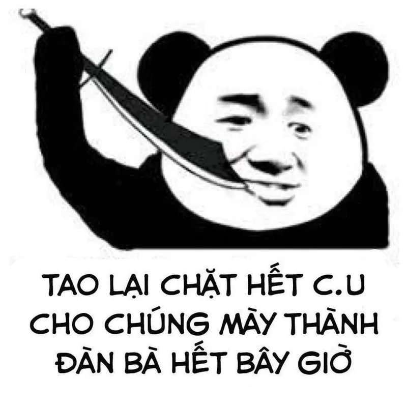 Ảnh gấu trúc meme mang lại niềm vui cho người xem