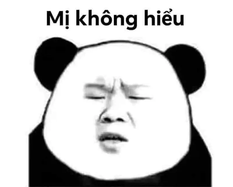 Hình meme gấu trúc mang lại niềm vui cho người xem