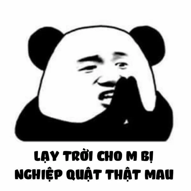 Meme gấu trúc mang lại niềm vui cho người xem