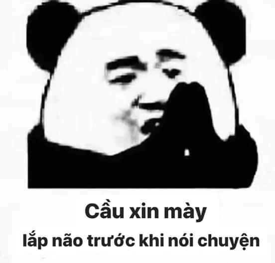 Meme hài gấu trúc mang lại tiếng cười sảng khoái