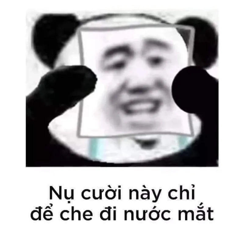 Meme gấu trúc ngang ngược thật hài hước và thú vị