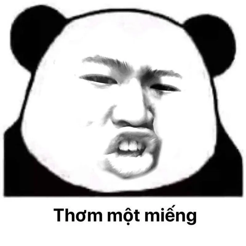 Meme gấu trúc đánh mang lại tiếng cười bất ngờ