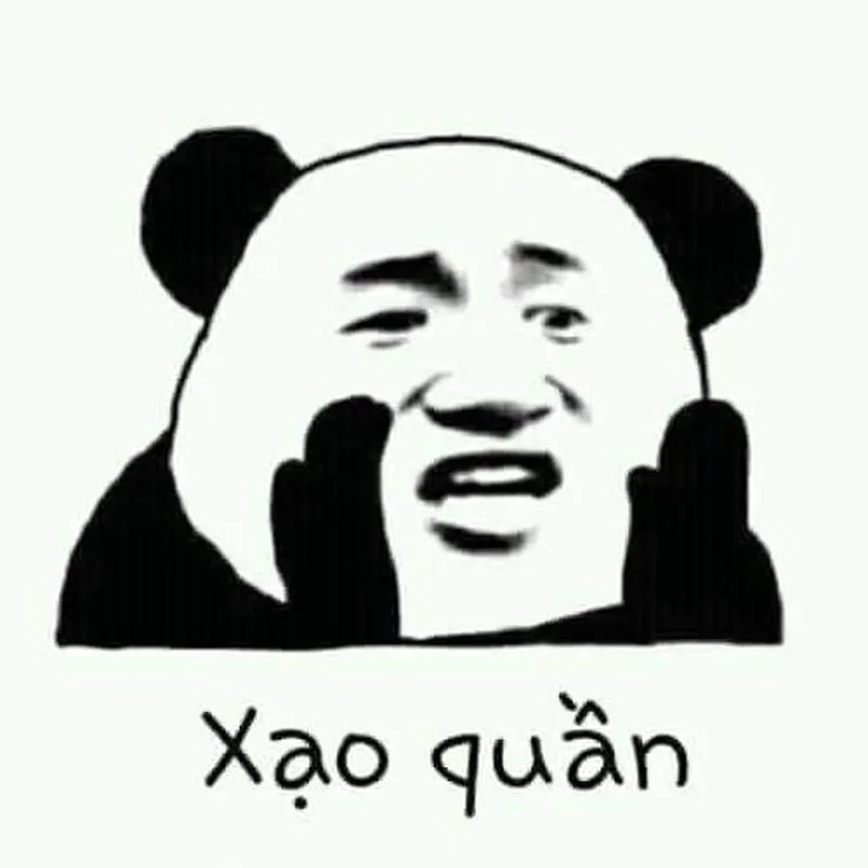 Meme gấu trúc hài hước khiến bạn cảm thấy vui vẻ