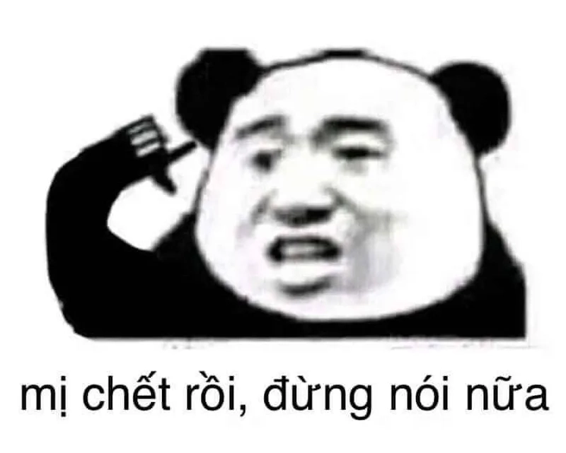 Meme gấu trúc khó hiểu thật thú vị và độc đáo