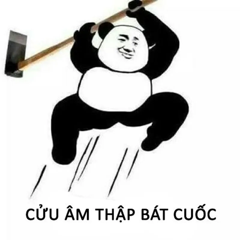 Meme gấu trúc không chữ mang lại tiếng cười sảng khoái