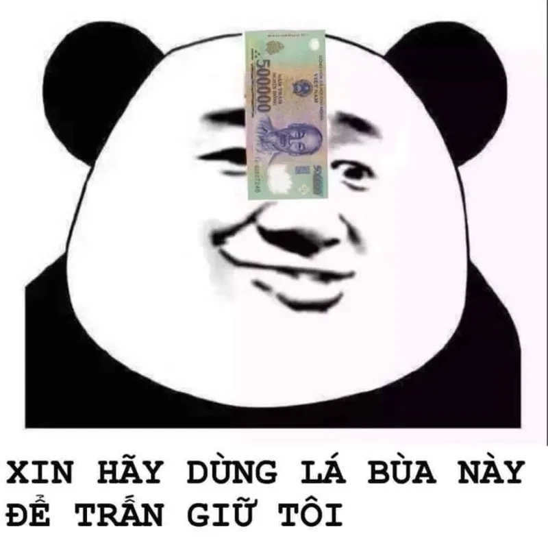 Ảnh meme gấu hồng dễ thương cho trang cá nhân của bạn