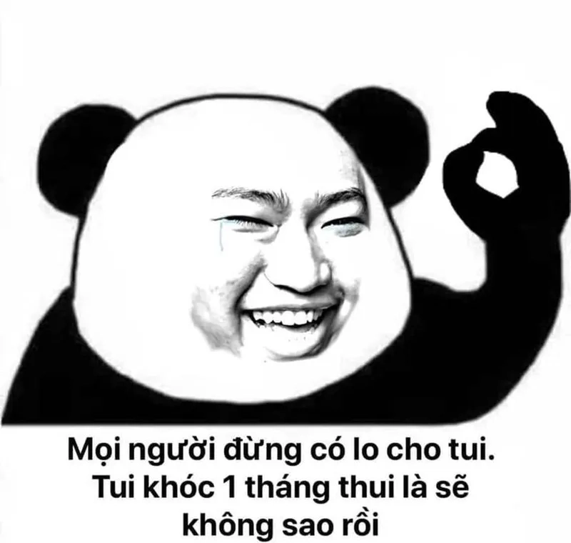 Con gấu màu hồng meme dễ thương khiến bạn không thể cưỡng lại