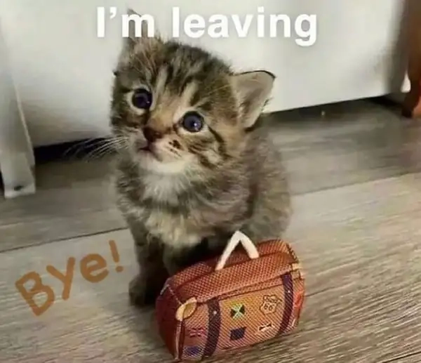 Good bye cute meme khiến bạn không thể nhịn cười