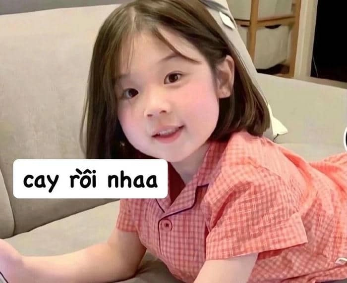 Meme tức giận mèo mang lại tiếng cười cho người xem