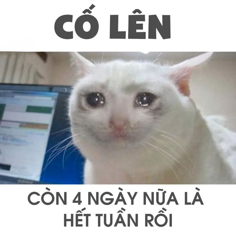 Anh em chí cốt meme thể hiện tình bạn chân thành