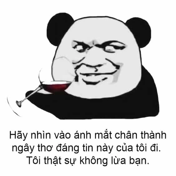 Nhộn hài meme chuột hamster đáng yêu cho những ai yêu thích động vật