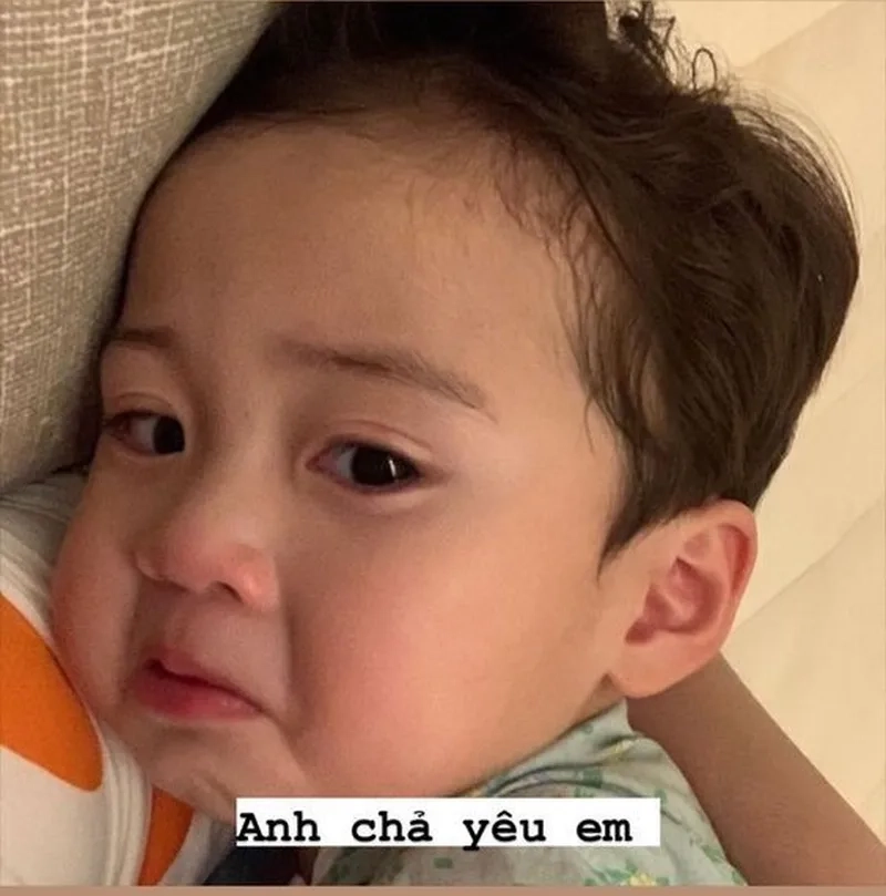 Meme hài cute mang lại niềm vui cho mọi người