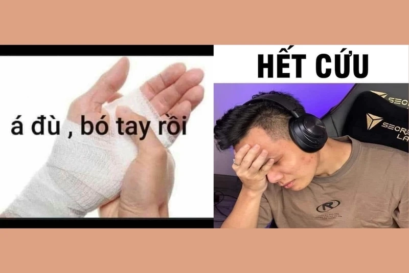 Cứu tui cứu tui meme khiến bạn cảm thấy đồng cảm