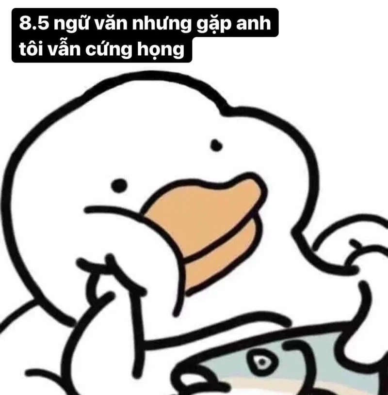 Meme chúc mừng sinh nhật cute dễ thương khiến bạn không thể nhịn cười