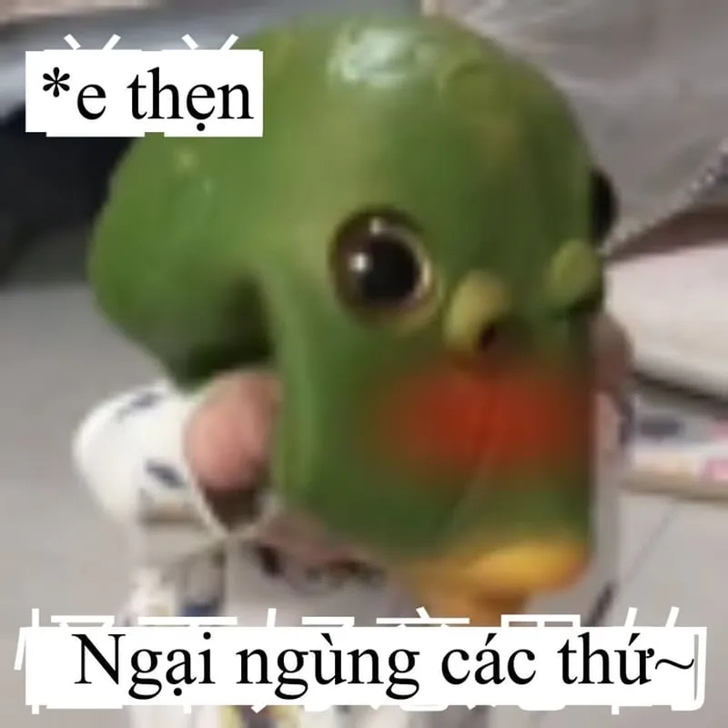 Meme anh da đen gãi đầu ngại mang lại tiếng cười cho bạn