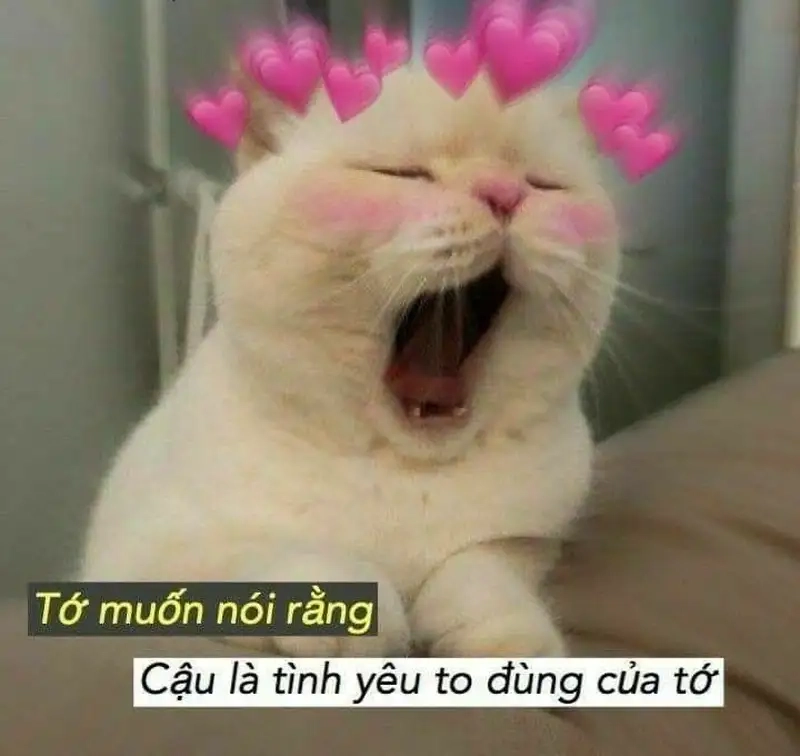 Love meme funny mang lại tiếng cười sảng khoái