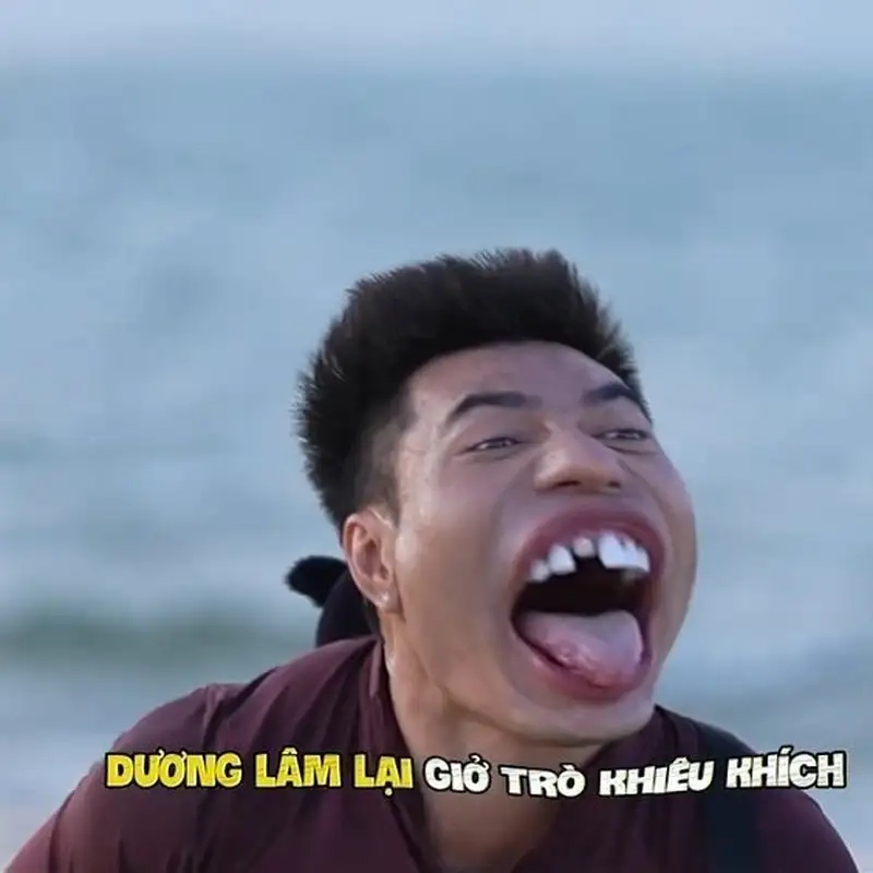 Ảnh mèo meme bựa khiến trái tim bạn tan chảy