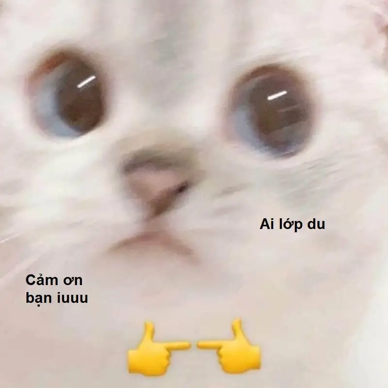 Cảm ơn bạn meme khiến bạn cảm thấy ấm áp