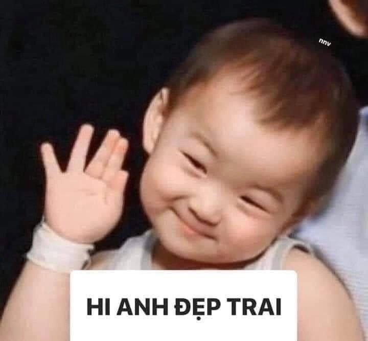 Ảnh meme mèo xin chào mang lại niềm vui cho người xem